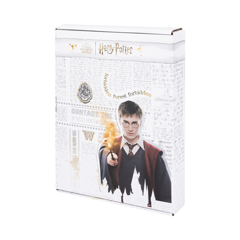 Darčeková krabička Harry Potter dámske knižné ponožky - 6 párov