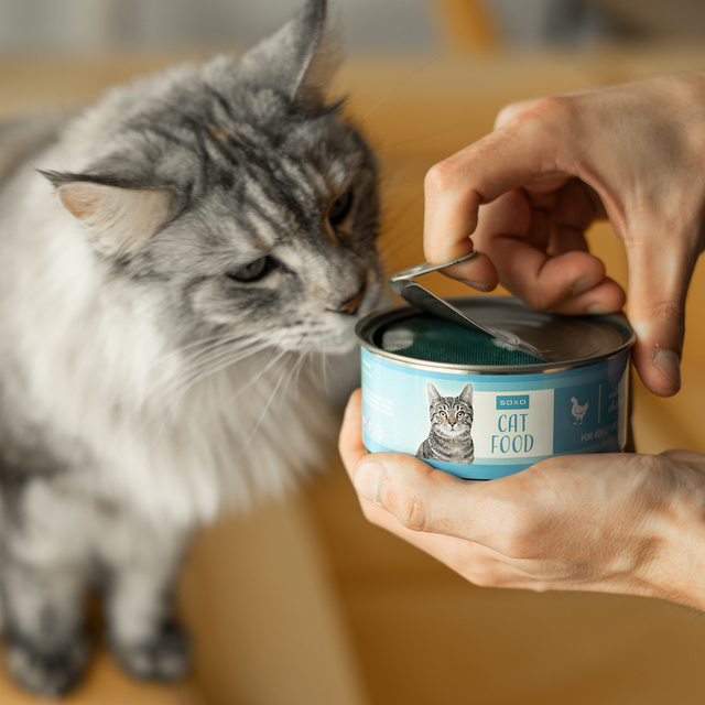 Pánske dámske ponožky SOXO krátkosrstá mačka v konzerve