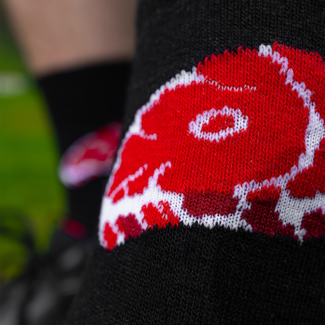 Pánske ponožky SOXO Steak