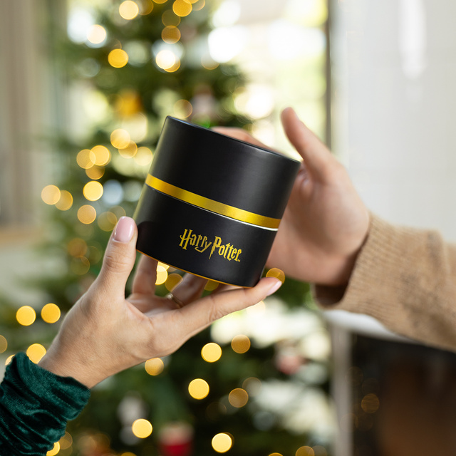 Ponožky v tube s motívom Harryho Pottera