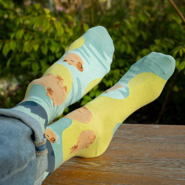 Dámske pánske ponožky SOXO kapybara do vane - 2 páry