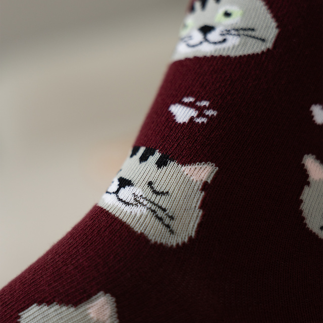 Dámske pánske ponožky SOXO | Mačiatko v krabičke