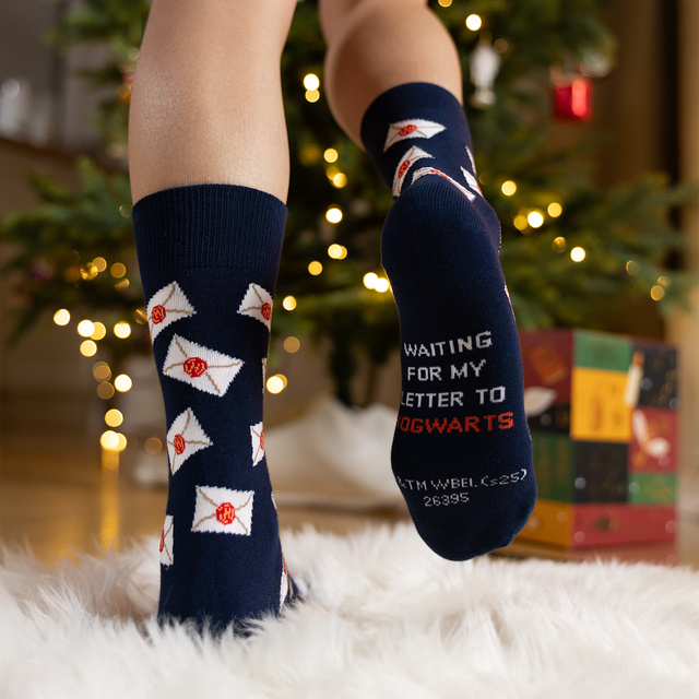 Darčekový box s ponožkami Harry Potter 24-pack