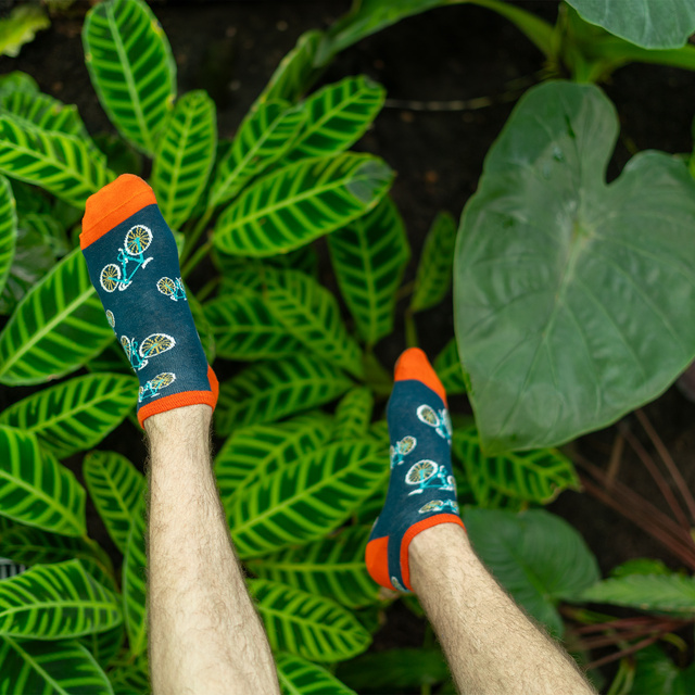 Pánske farebné ponožky SOXO - 4 páry