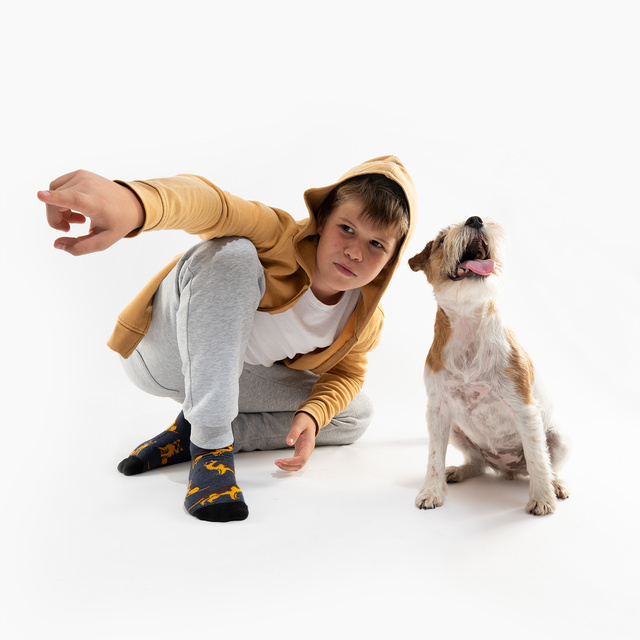 Pánske dámske ponožky SOXO nemecký ovčiak v plechovke