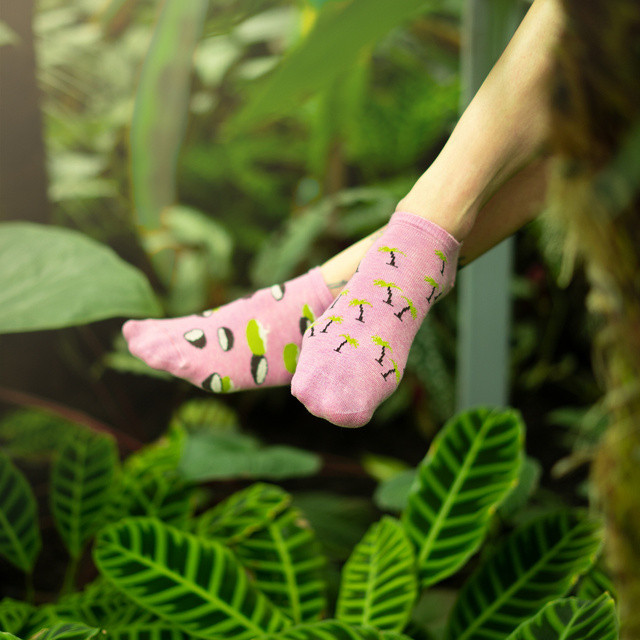 Sada 5x Farebné dámske ponožky SOXO nezhodné darček