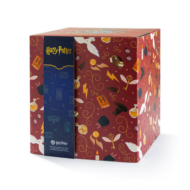 Darčekový box s ponožkami Harry Potter 24-pack