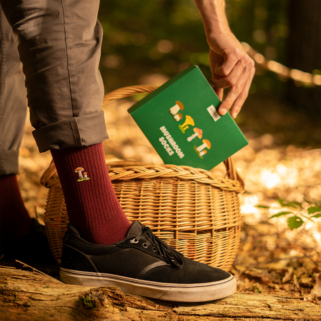 Sada 4x Pánske ponožky SOXO s hríbikmi v balení prémiovej edície