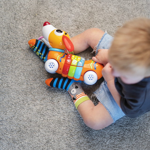 Sada 3x Farebné detské ponožky SOXO zvieratká | tiger | pes | leňochod