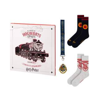 Ponožky s Harrym Potterom 2 páry