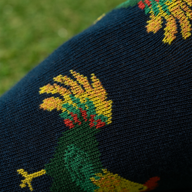 2x Farebné pánske ponožky SOXO Veľkonočné pre Neho